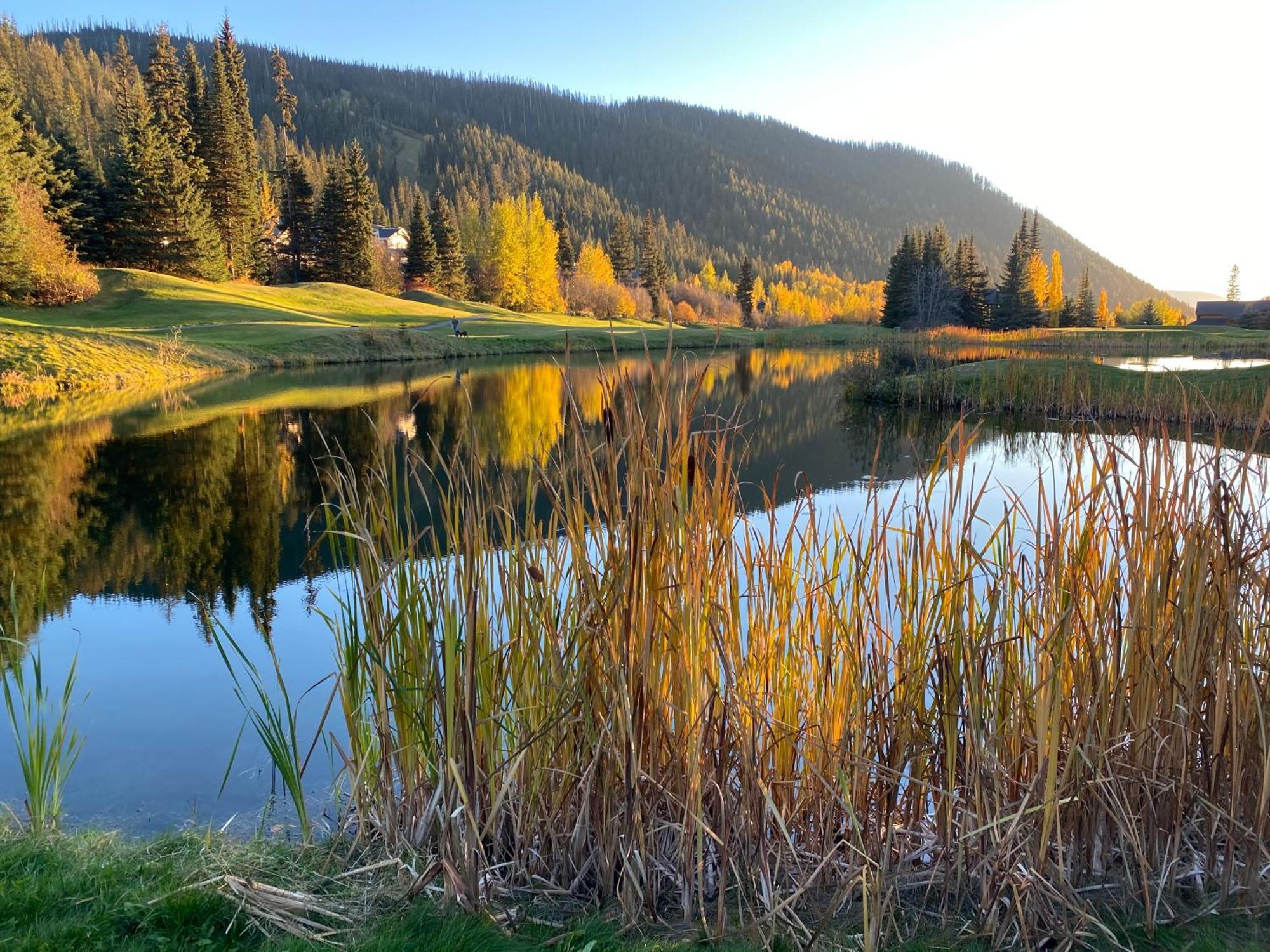 Morrisey Chalet At Sun Peaks Dış mekan fotoğraf